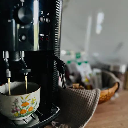 Apartmán Bian Temešvár