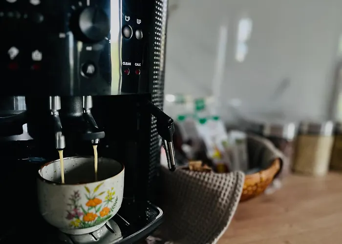 Apartmán Bian Temešvár