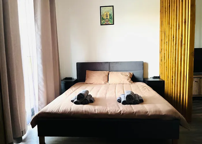 Bian Apartment Timisoara