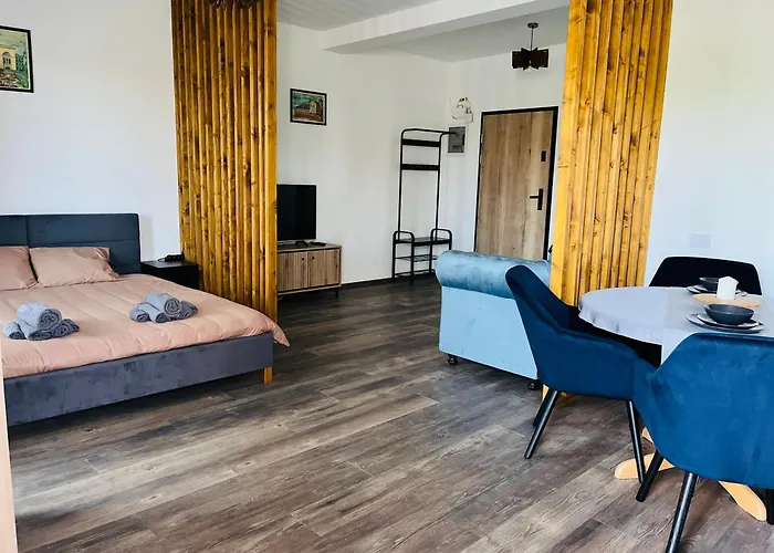 Bian 蒂米什瓦拉