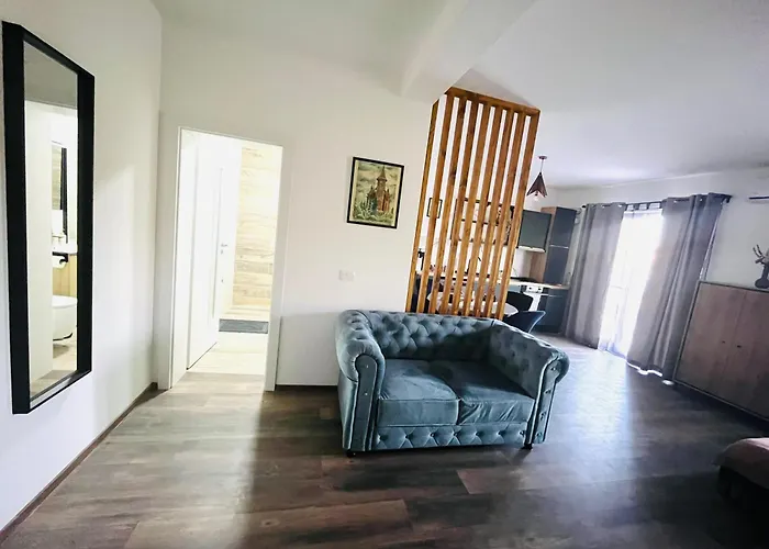 Bian * 蒂米什瓦拉